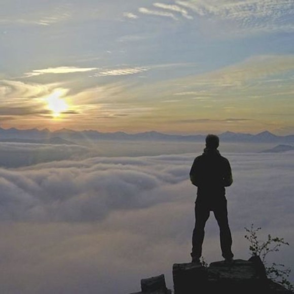 Meet your Posher, Alexander - Picture 1 of 1